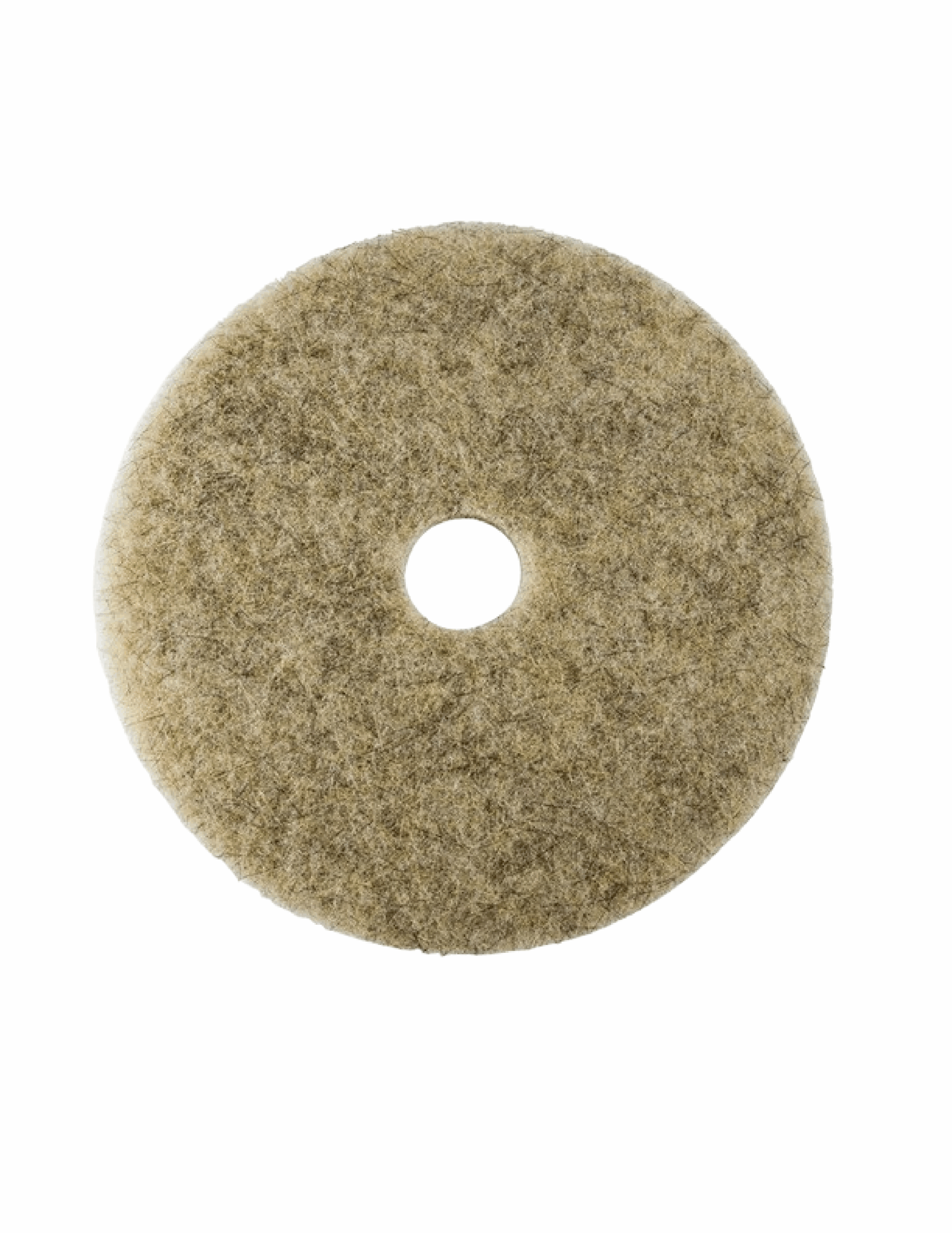 Disco_Canela_ACS_19-01